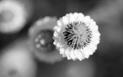 Angststörungen und die Angst vor dem Alleinsein