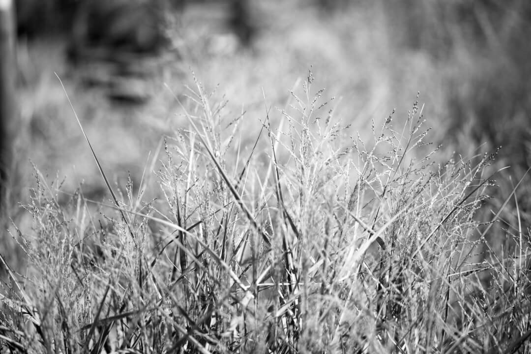 Praxis für Hypnotherapie in Berlin - Spezialisierung auf Ängste und Traumata