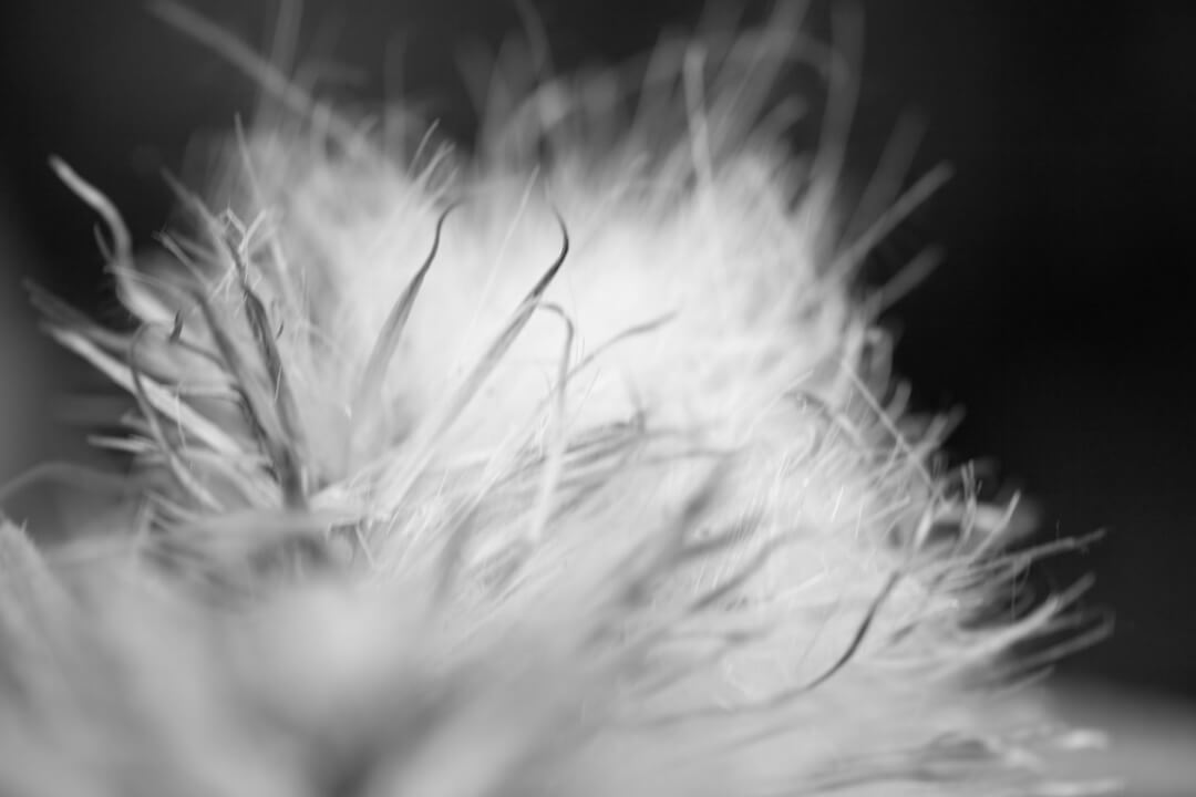 Praxis für Hypnotherapie in Berlin - Spezialisierung auf Ängste und Traumata