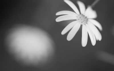 Die Bedeutung der Selbstachtung