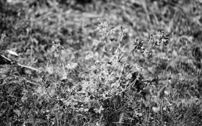 Sorgen sind hilfreich und vorbeugend