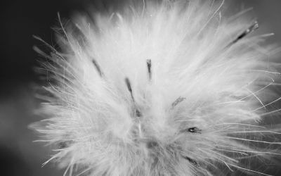 Selbstsabotage: Ursachen und Hilfe