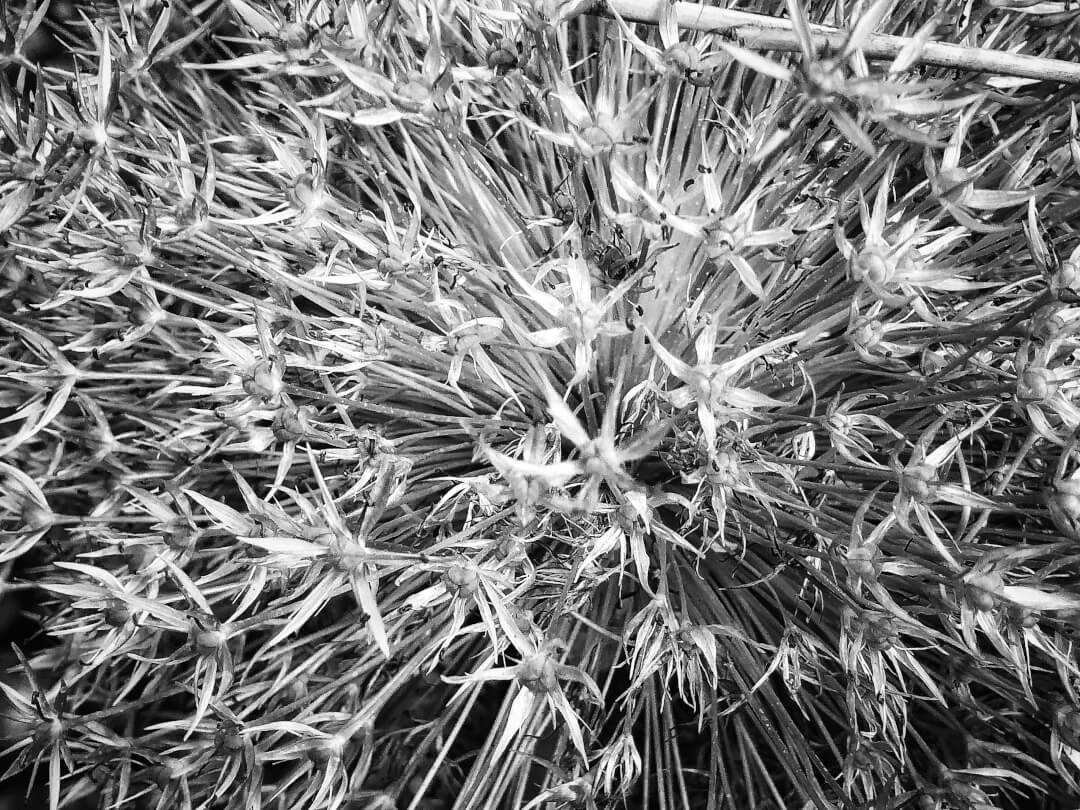 Kausalattribuierung in Therapie und Coaching