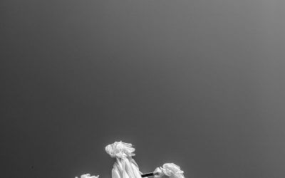 Teile-Modell, Anteile, Persönlichkeitsanteile, Teile in der Hypnotherapie