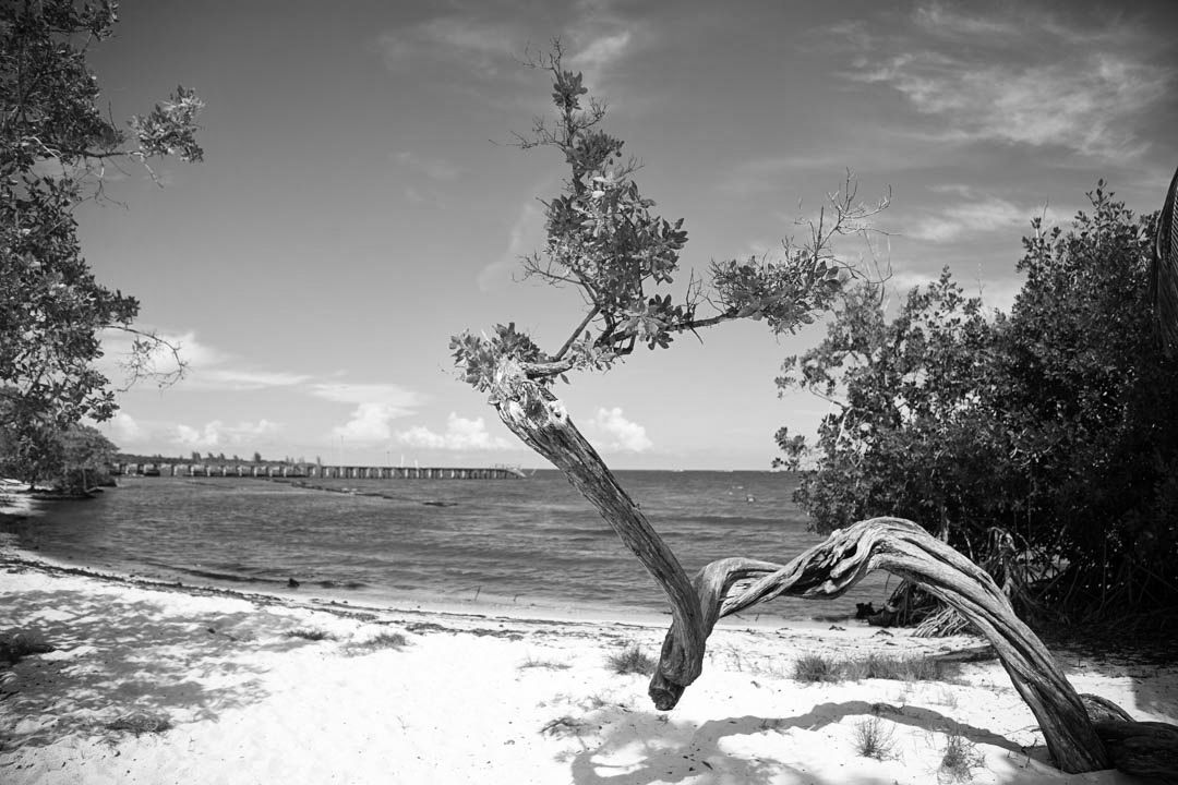 Praxis für Hypnotherapie in Berlin - Spezialisierung auf Ängste und Traumata