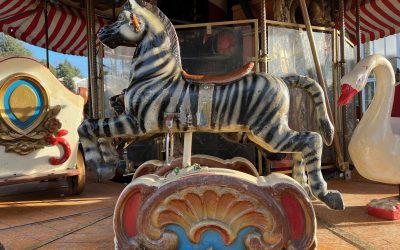 Ablenkung: Wozu sie gut ist und wo sie schadet!