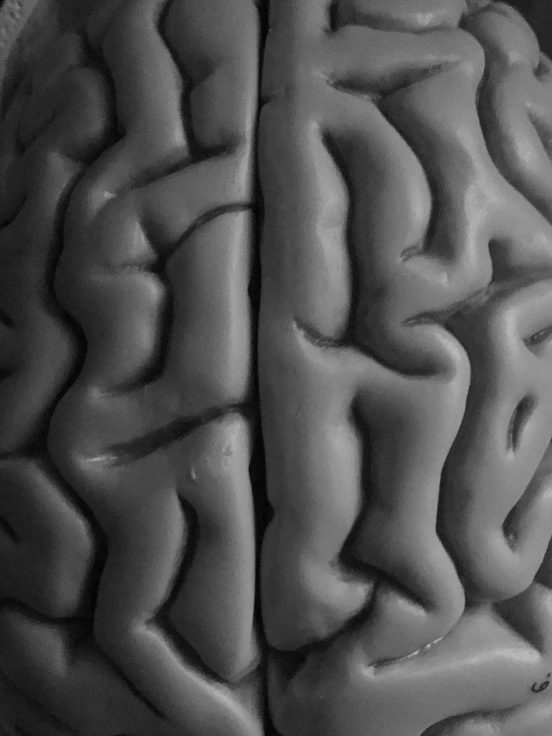 Trypophobie, die Angst vor Löchern Aufklärung,